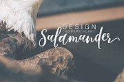 Smith, a Script Font by Fontastic (Thumbnail 4 of 9)