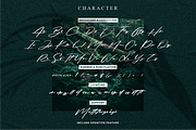 Solustion Bold Signature, a Script Font by Glyphstyle (Thumbnail 7 of 11)