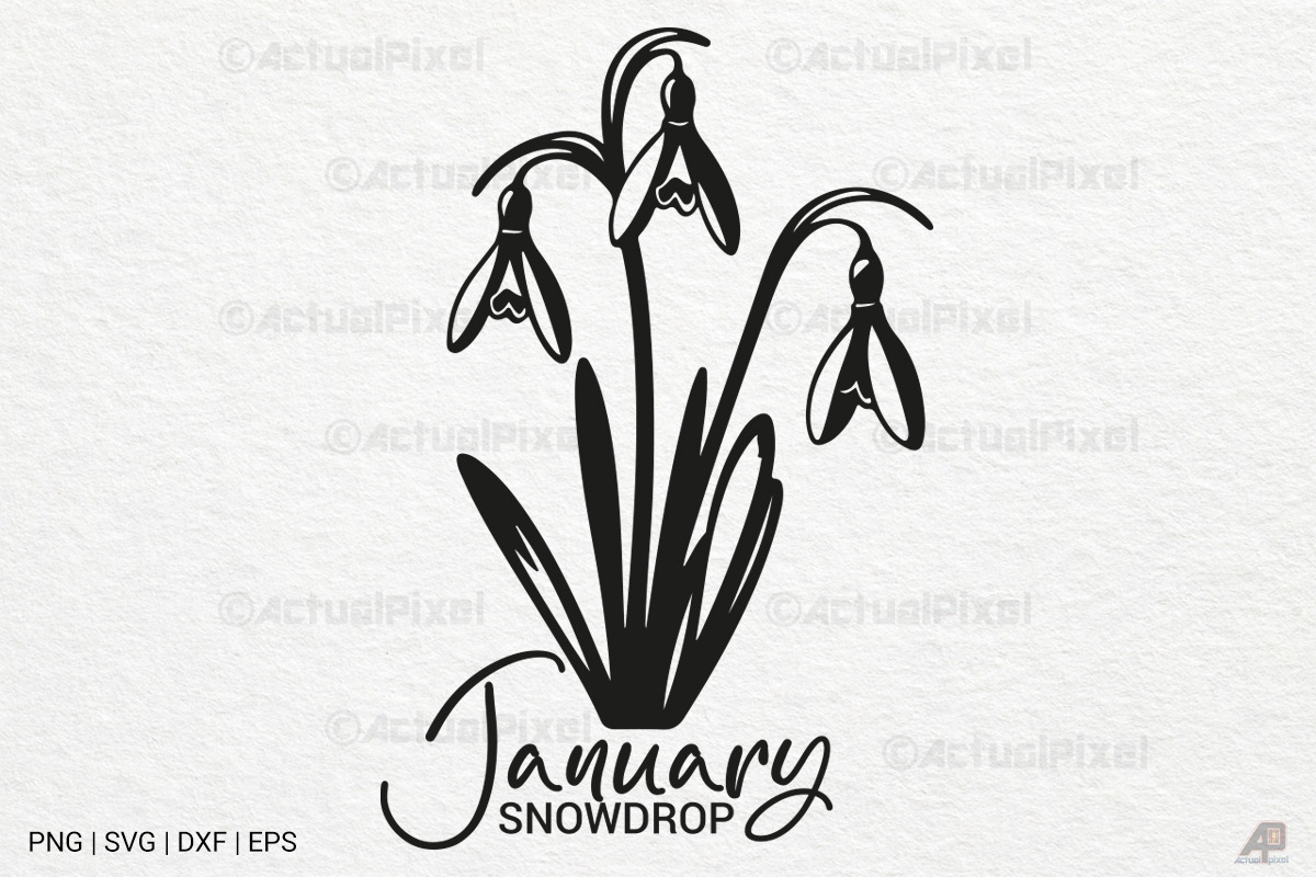 Birth Month Flowers SVG PNG Bundle, an Illustration by Actual Pixel (Photo 20 of 24)