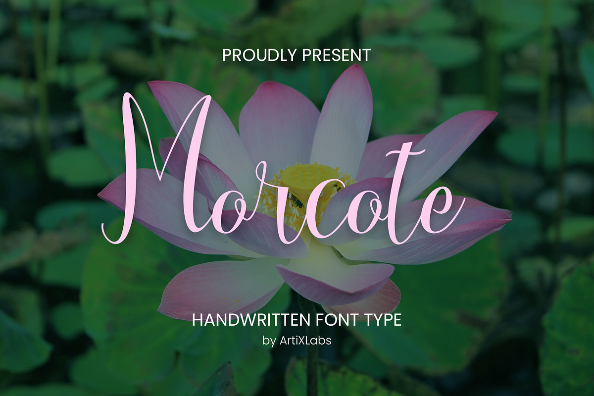 Morcote - Script Handwritten Font, a Handwritten Font by ArtiXLabs (Photo 1 of 11)