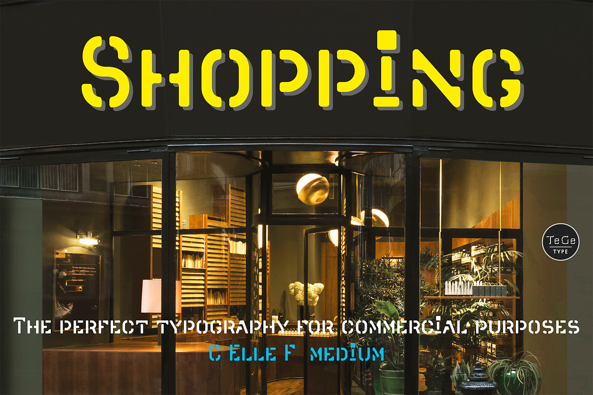 C Elle F, a Sans Serif Font by TeGeType foundry (Photo 6 of 7)