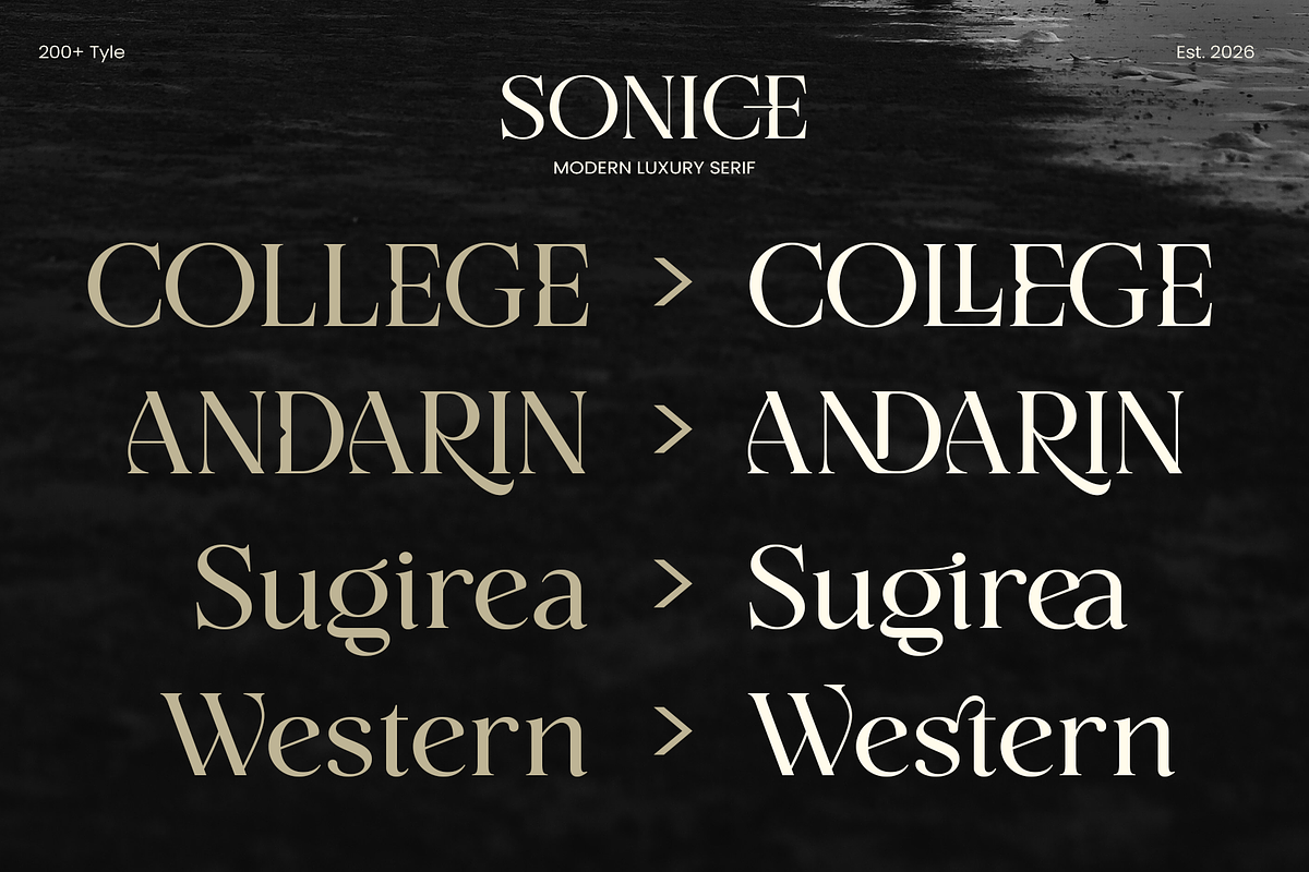 Sonice - Modern Luxury Font, a Serif Font by Vampstudio (Photo 11 of 13)