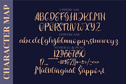 Hiratheria Script LS, a Script Font by GranzCreative (Thumbnail 3 of 14)