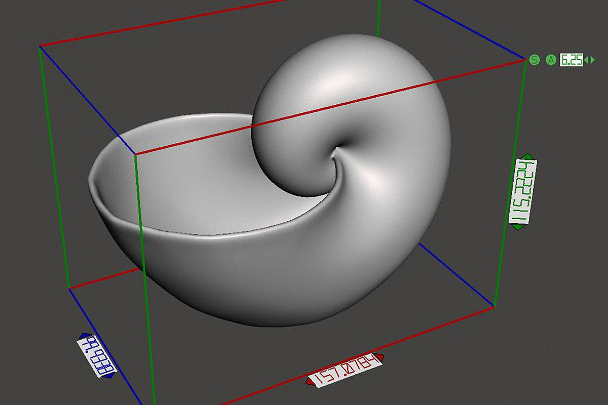 7 Shell Planter for 3D Printing, an Object 3D Model by Kseniya-Omega (Photo 9 of 17)