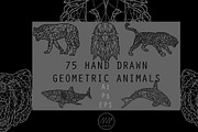 Geometric Animals Collection, an Animal Illustration by Alpha Mike Foxtrot (Thumbnail 1 of 10)
