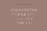 Exalyptus - Elegant Script Font, a Script Font by Pikgura (Thumbnail 3 of 7)