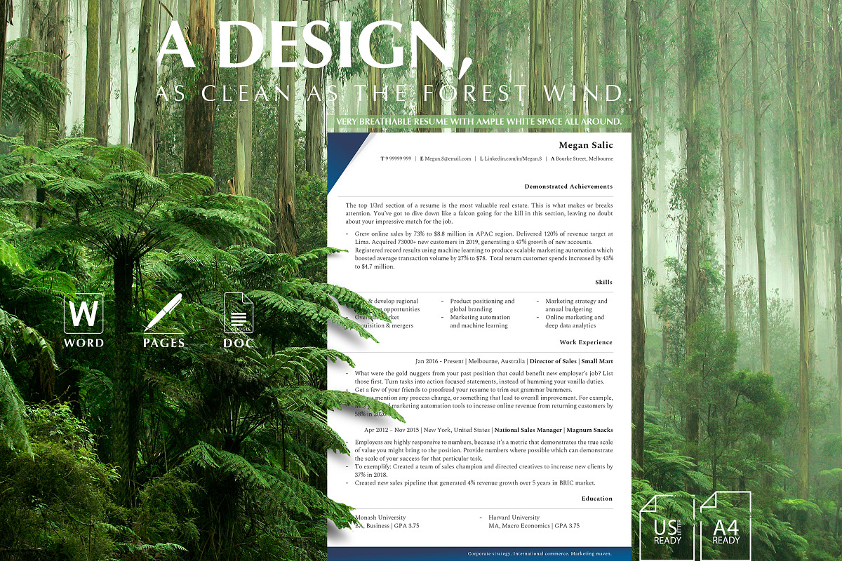 CEO Resume Template, CV Templates, a Resume Template by Career Canvas (Photo 2 of 11)