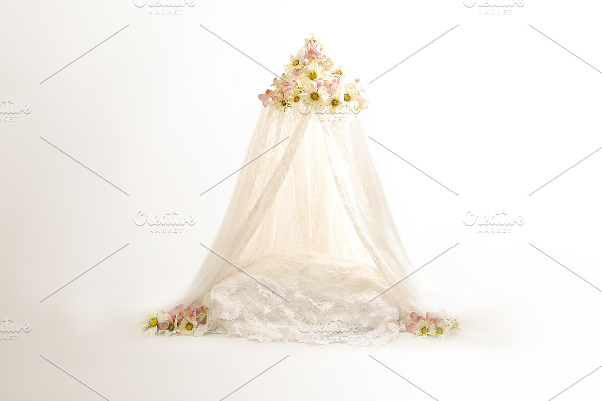 Newborn digital background stock photo containing digital prop and newborn, a Person Photo by Susa's pics (Photo 2 of 2)