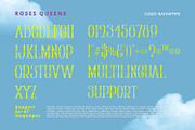 Roses Queen, a Serif Font by Nathatype (Thumbnail 9 of 11)