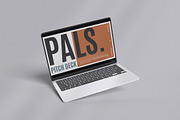 PALS - Pitch Deck, a Presentation Template by FIBRINOSÄ (Thumbnail 1 of 8)