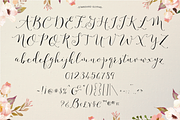 Fashionista Modern Calligraphy, a Script Font by Emily Spadoni (Thumbnail 8 of 9)