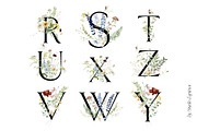 l'Herbolario - Wild Floral Graphics, an Illustration by studioequinox (Thumbnail 13 of 14)