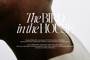 Editor's Note Display, a Serif Font by Jen Wagner Co (Thumbnail 11 of 22)