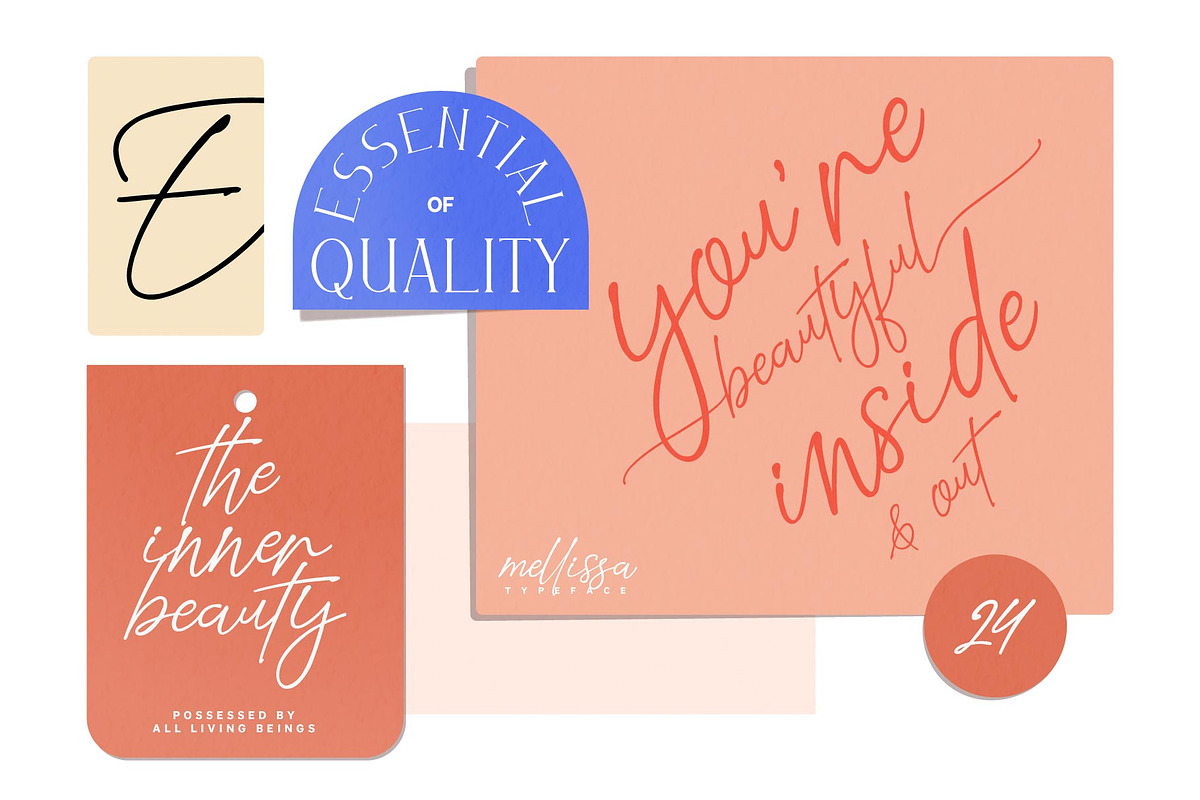 Mellissa Darling, a Script Font by Drizy (Photo 7 of 11)