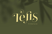 Tefis Font • 30% off, a Serif Font by vuuuds (Thumbnail 1 of 13)
