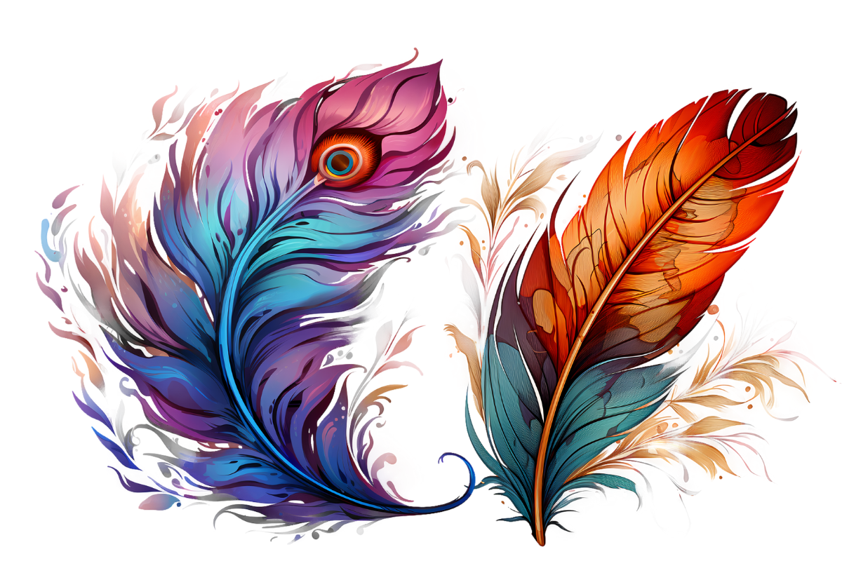 Birds Feathers Clipart, an Object Graphic by Agnesagraphic (ID 95) (Photo 2 of 7)