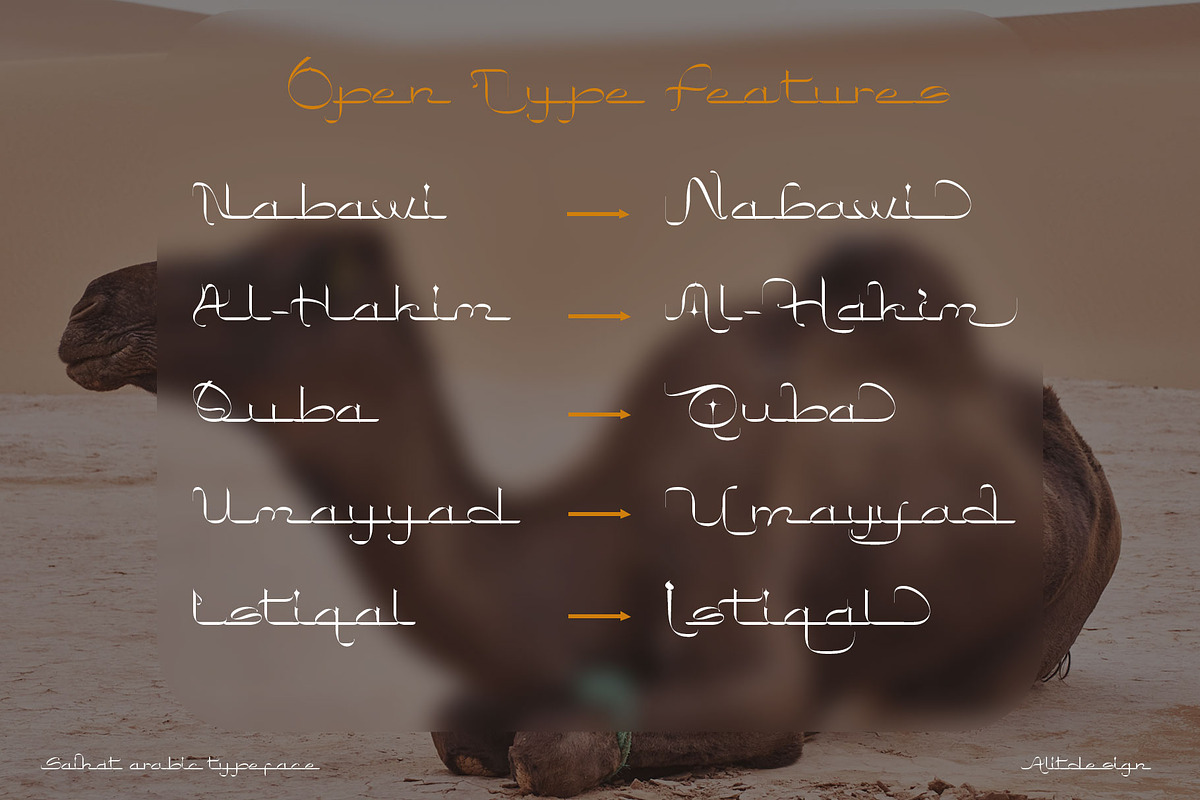 Saihat Arabic Typeface, a Script Font by alit design (Photo 11 of 15)