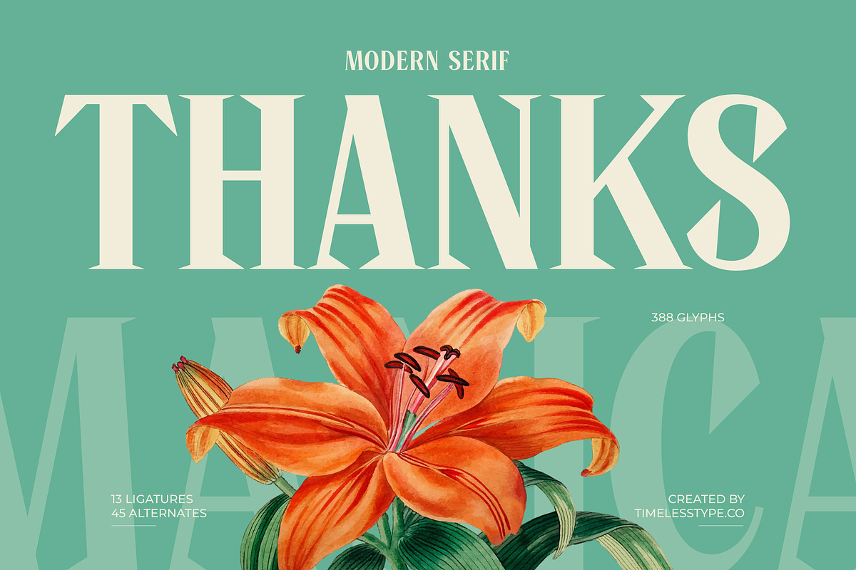 Manica Modern Editorial Serif, a Serif Font by timelesstype.co (Photo 20 of 20)