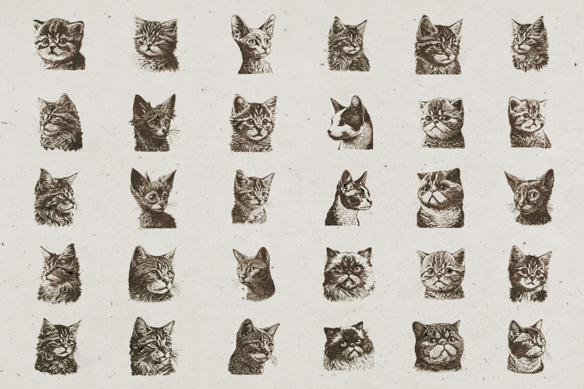 Cat Breeds Portrait Illustrations, an Animal Illustration by Nocturnal Wolf (Photo 9 of 10)