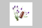 Lavender Herb Photo Pack, a Nature Photo by ifiStudio (Thumbnail 6 of 14)