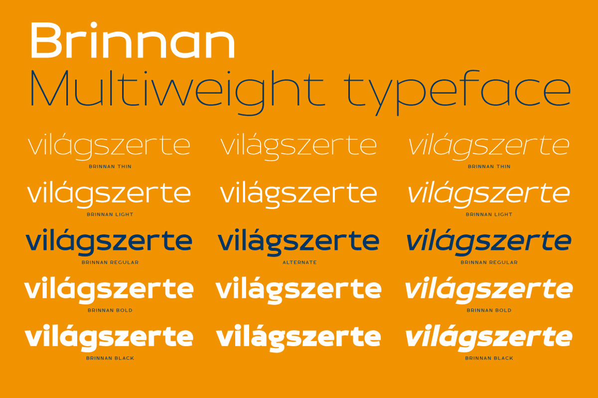 Brinnan, a Sans Serif Font by Typogama (Photo 2 of 11)