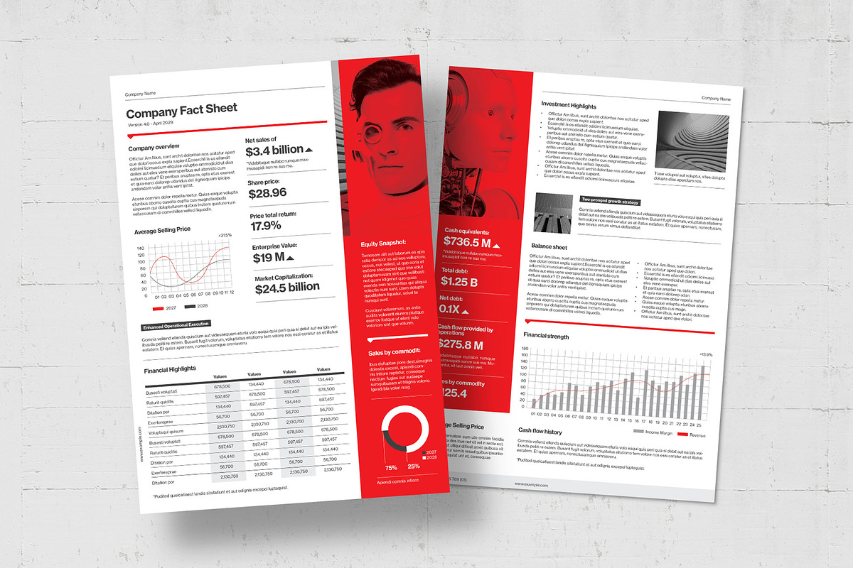 Fact Sheet Template, a Flyer Template by BrandPacks (Photo 5 of 5)