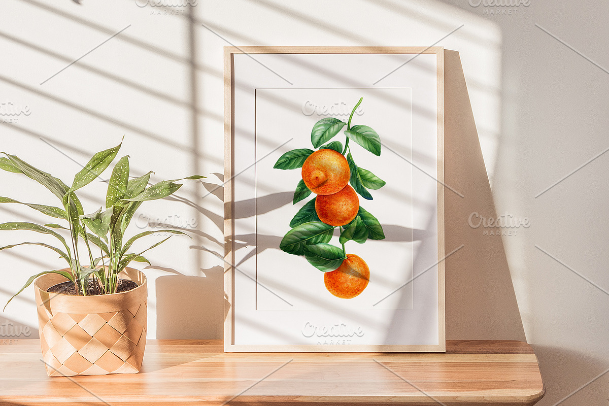 Watercolor fruits clipart, an Illustration by Hanna Hryharenka (Photo 3 of 14)