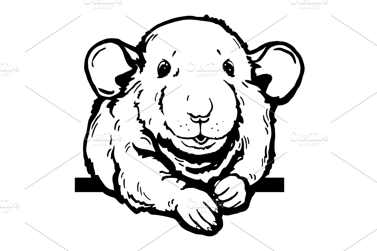 Peeking Hamster - Funny Farm Animal, an Animal Illustration by Digital-Clipart
