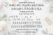 Hello Wedding | Script Font, a Handwritten Font by Scratchones (Thumbnail 5 of 9)