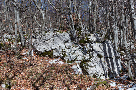 The peak of Slavnik, a Nature Photo by Bepslabor
