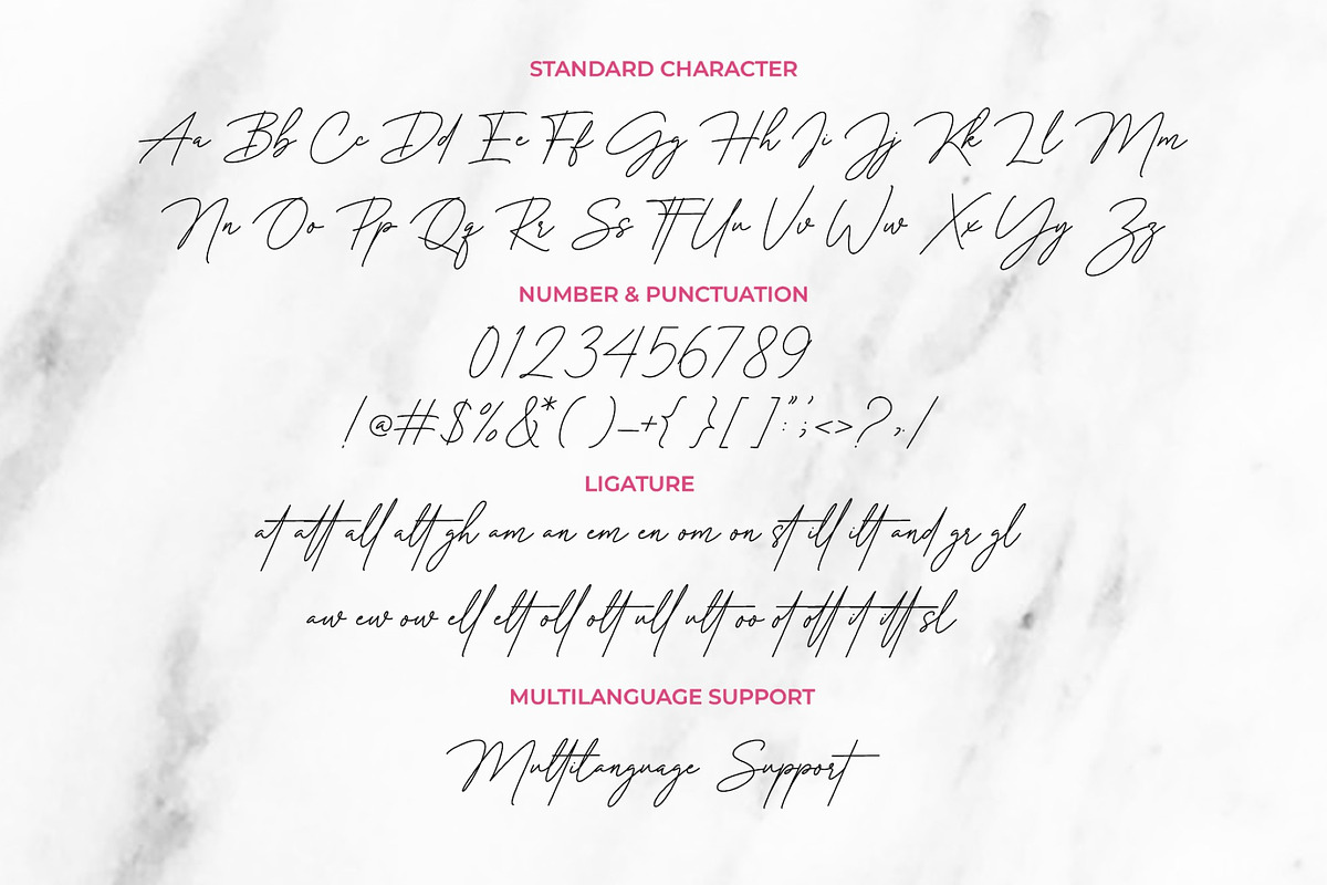 Rosalinda Signature Font, a Script Font by MJB Letters (Photo 10 of 10)