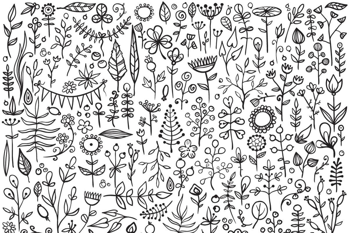 Set of hand-drawn floral elements, a Decorative Illustration by Elena Paletskaya (Photo 3 of 5)