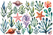 Watercolor Sea Shells & Coral Set, an Object Illustration by Whimsy Brush Studio (Thumbnail 8 of 9)