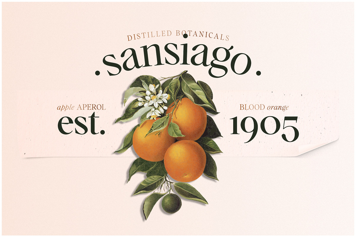 Voxas | 54 Font Serif, a Serif Font by Anthony James (Photo 17 of 22)