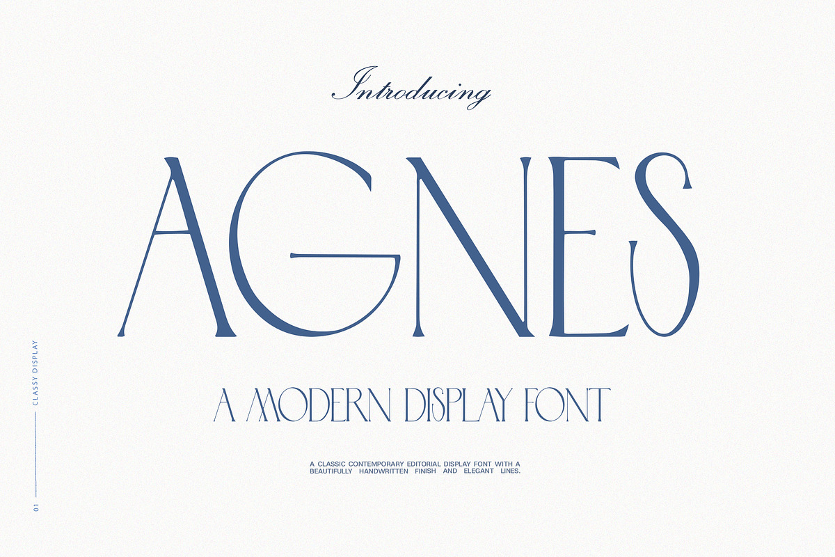 Agnes Modern Display Font, a Serif Font by Laras Wonderland (Photo 1 of 11)