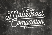 Anelka Fambuya - Monoline Retro Font, a Script Font by StringLabs (Thumbnail 6 of 14)