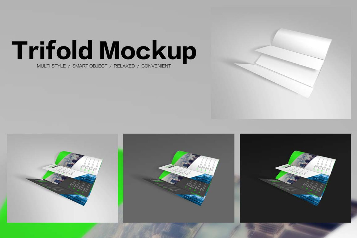 Trifold Mockups, a Mockup by alphadesign (Photo 13 of 13)