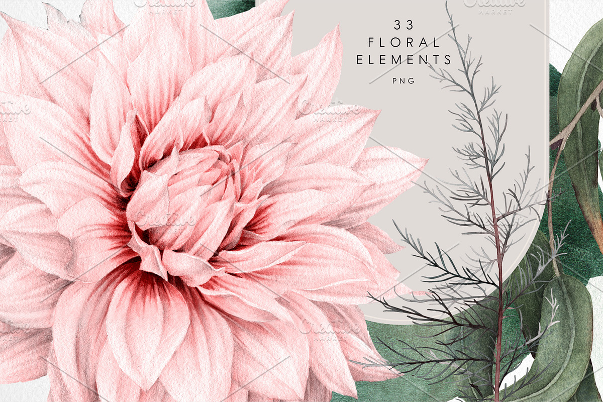 WATERCOLOR BUNDLE Peonies & Roses, an Illustration by ollalya (Photo 71 of 101)