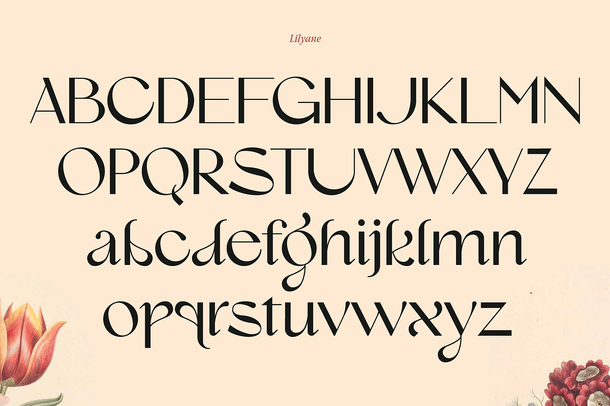 Lilyane - A Lovely Font, a Serif Font by StudioinBry (Photo 10 of 12)