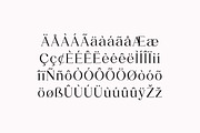 Moonscape Serif Roman Family Font, a Serif Font by UICreative (Thumbnail 11 of 13)