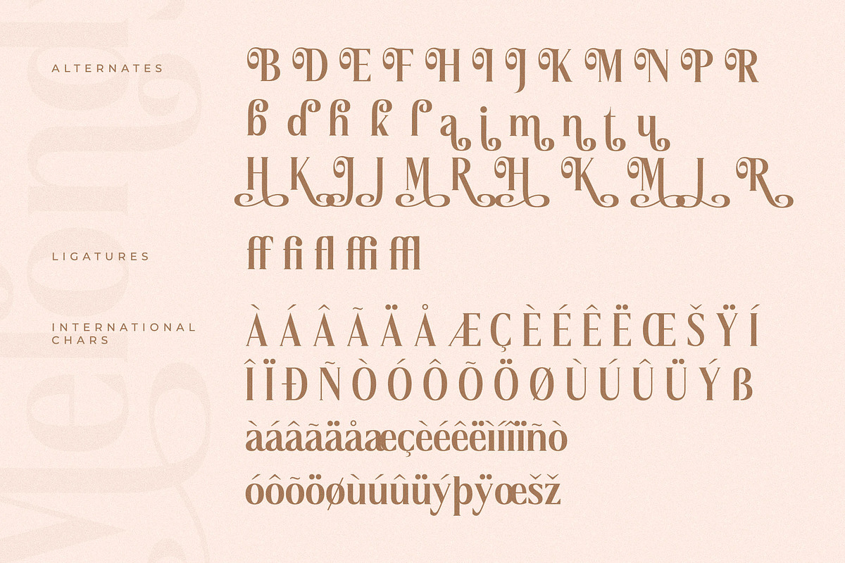 Melondy Modern Stylish Serif, a Serif Font by Storytype Studio (Photo 14 of 15)