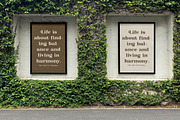 Madrid & Birch Modern Alternate, a Serif Font by timelesstype.co (Thumbnail 8 of 20)