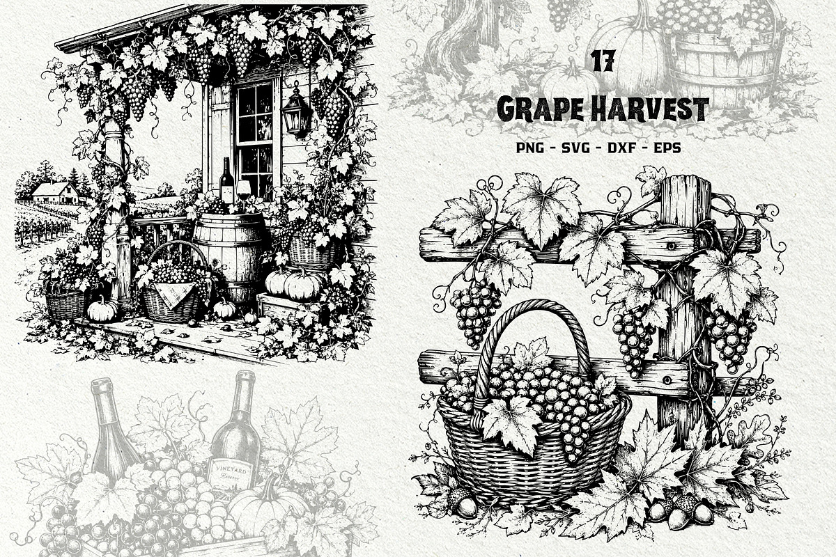 Grape Harvest Vineyard Graphics, a Decorative Illustration by DENIDigitalArtSudio (Photo 1 of 6)
