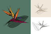 Tropical Flower Seamless Pattern, a Pattern Graphic by Plaid4You (Thumbnail 2 of 17)