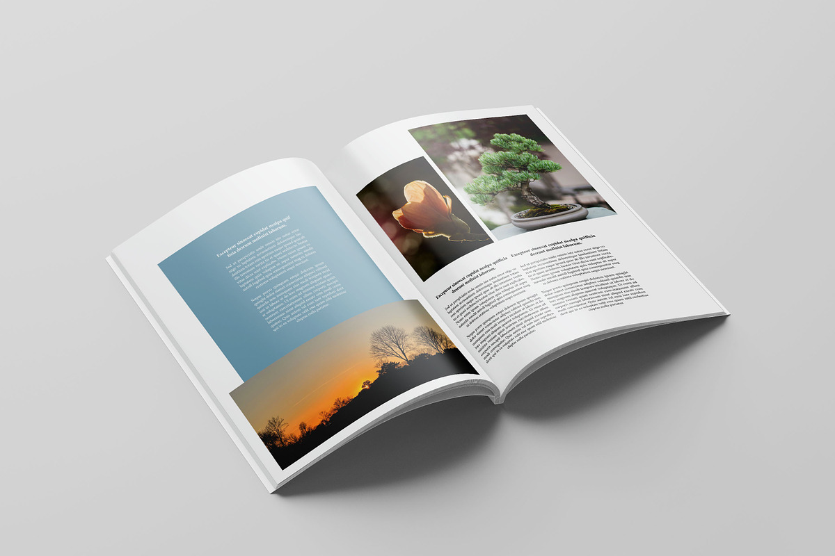 Portfolio Template, a Brochure Template by retrographix (Photo 10 of 13)