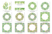 Watercolor acacia, an Illustration by Evgeniia Zagreeva (Thumbnail 3 of 3)