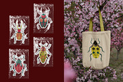 Folk art insects. Beetles collection, a Decorative Illustration by Neliakott ♥ (Thumbnail 8 of 10)