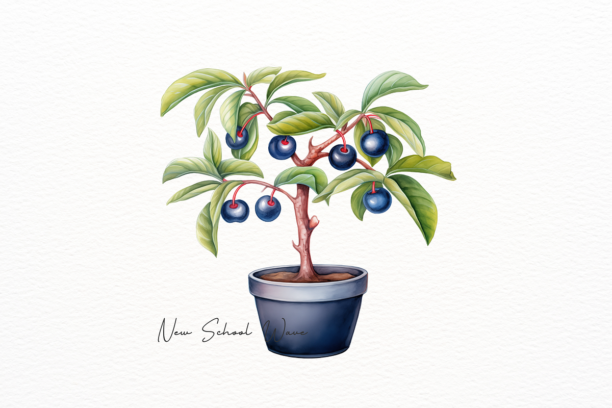 Realistic Tree in Pot Clipart, a Decorative Illustration by New-School-Wave (Photo 2 of 5)