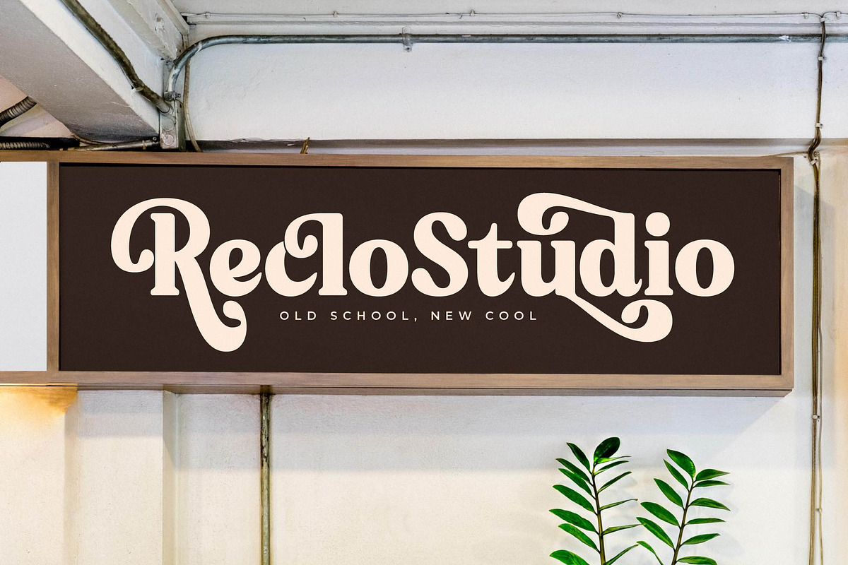Bristle Radiant Modern Retro Stylish, a Serif Font by Letterena Studios (Photo 4 of 15)