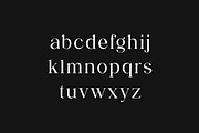 Palatines Serif Display Family Font, a Serif Font by UICreative (Thumbnail 6 of 13)